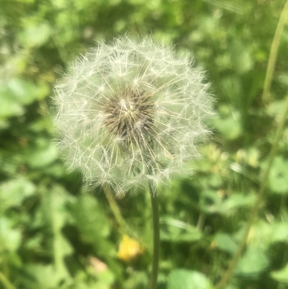 Meet your Posher, Juanita